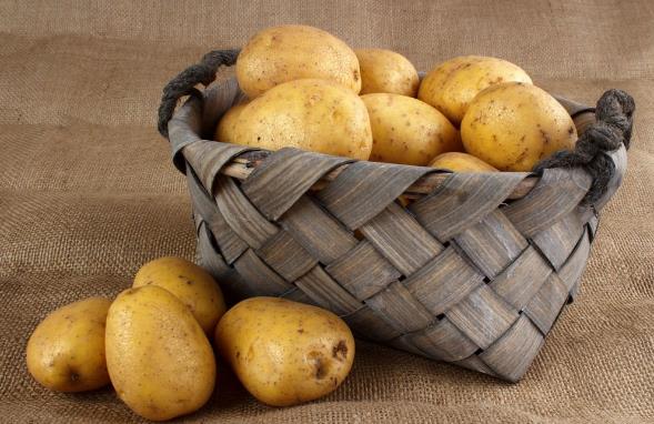 冬天要多吃哪些蔬菜?适宜冬季吃的蔬菜及补血食物推荐