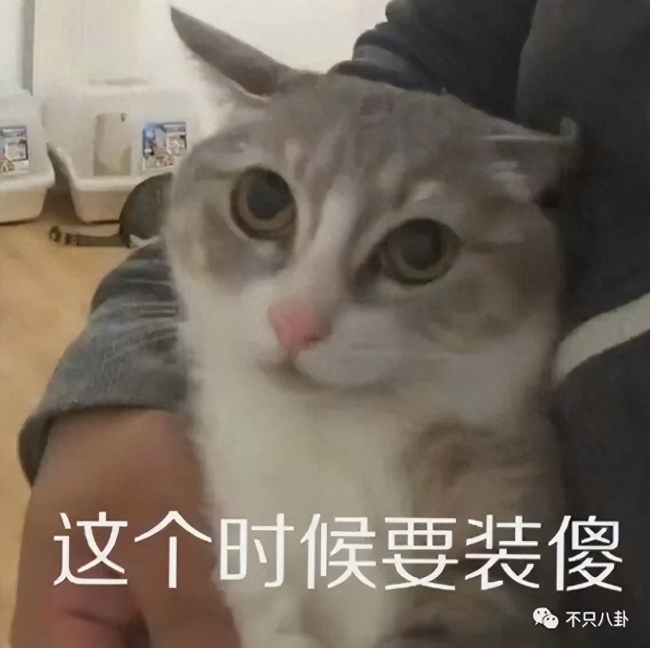 当红小生性取向成迷?他的“黑历史”被扒到渣…