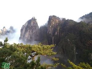 春节去厦门穿什么衣服？过年春节厦门穿什么？