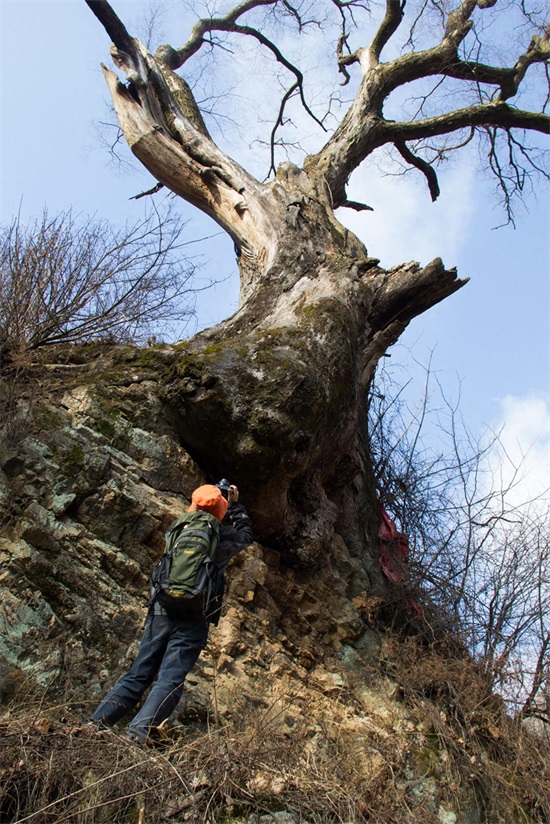秦岭山脉｜东西全长1600公里，这11幅图将会告诉你它真实的另一面