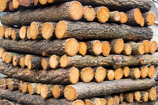 秦岭山脉｜东西全长1600公里，这11幅图将会告诉你它真实的另一面