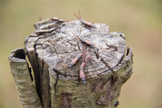 秦岭山脉｜东西全长1600公里，这11幅图将会告诉你它真实的另一面