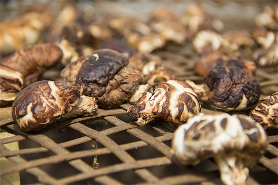 秦岭山脉｜东西全长1600公里，这11幅图将会告诉你它真实的另一面