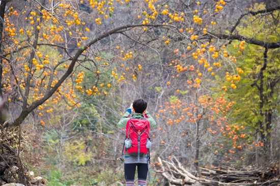 秦岭山脉｜东西全长1600公里，这11幅图将会告诉你它真实的另一面