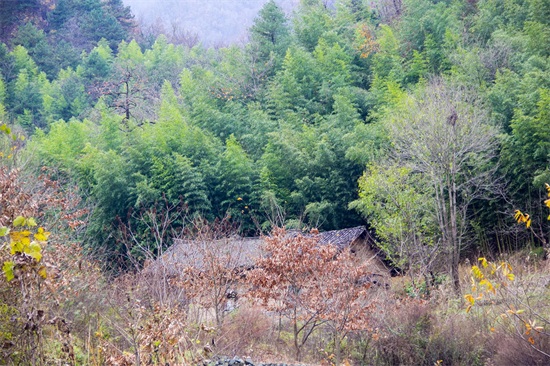 秦岭山脉｜东西全长1600公里，这11幅图将会告诉你它真实的另一面