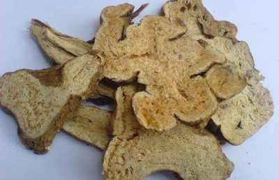 ​白术价格多少钱一斤 白术的鉴别方法