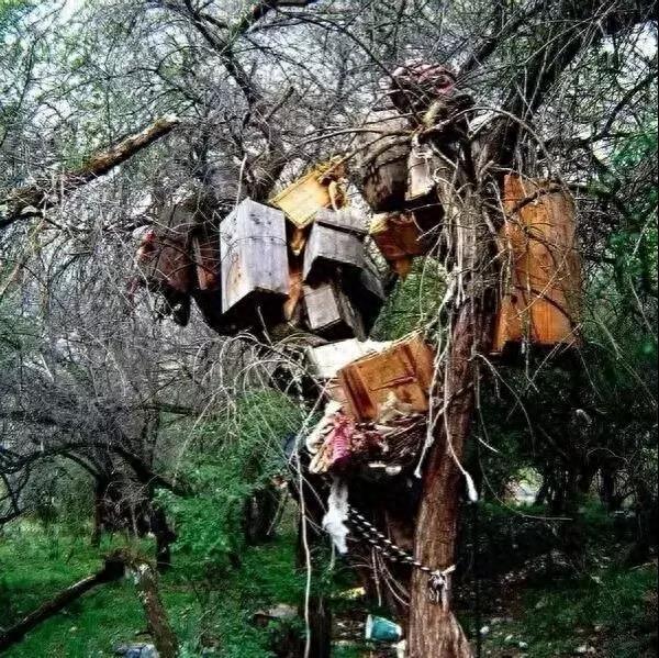 格鲁派六大寺庙，其中四座在这里，就连甘南的拉卜楞寺都在模仿