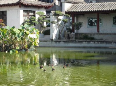 ​焦作市区免费景点盘点