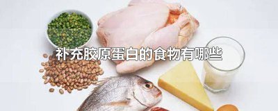 ​含胶原蛋白的食物有哪些 啥食物补充胶原蛋白