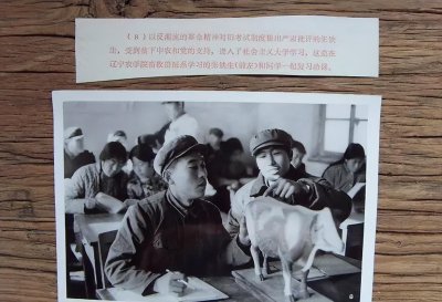 ​“白卷英雄”张铁生靠一封信进大学，后被判十五年，出狱亿万身家