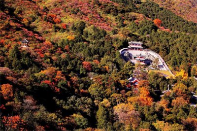 ​温带季风气候