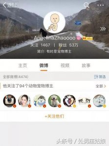 ​那个帮王思聪养狗，在网上狂骂网友的赵子易又杀回来了……