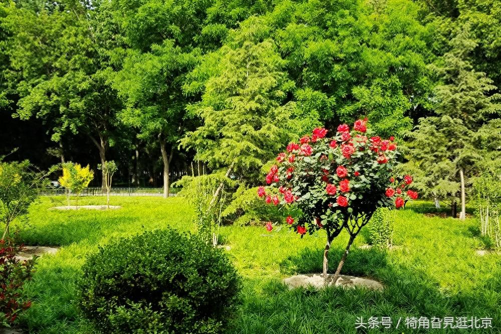 长安街边上的东单公园