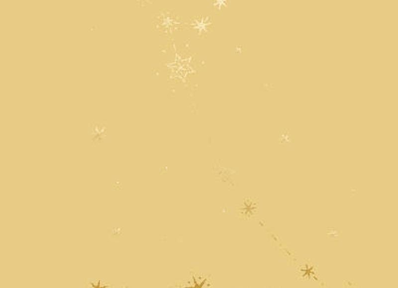 第一宠老婆的星座是谁 感情细腻 默默支持