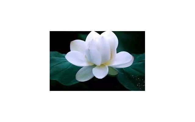 图书馆搭讪套路，送给不知道怎么和女生搭讪的男生