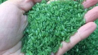 ​竹香米糯米粥：它是一种营养价值极高绿油油的大米，你吃过吗？