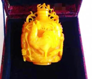 ​头骨比象牙贵3倍的鸟，活着被取骨后只能慢慢等死，如今不足百只