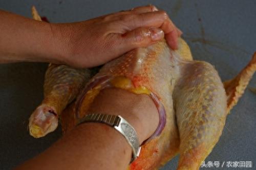 国外女人杀鸡方式实在简单粗暴，不过手法很好！