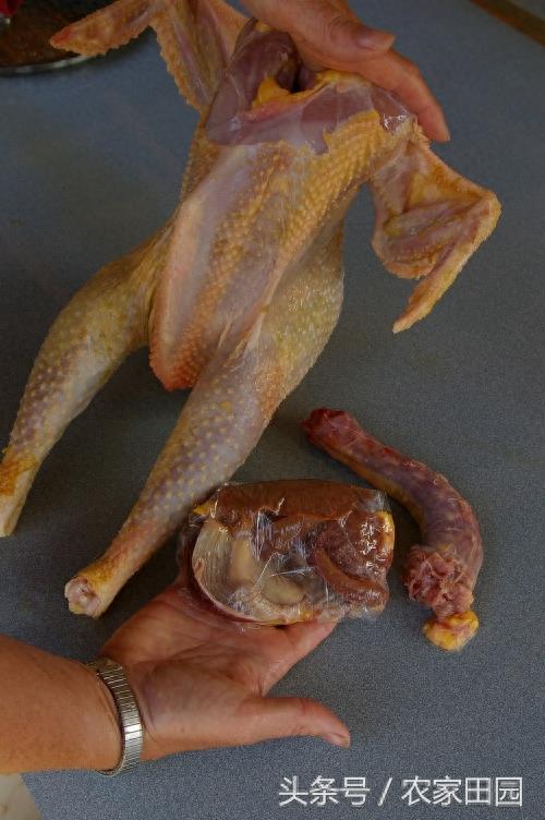 国外女人杀鸡方式实在简单粗暴，不过手法很好！