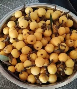 ​惊呆！塘栖这种最常见的花竟这么值钱，一斤卖到8000元！