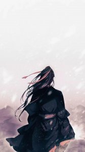 ​《魔道祖师》魏无羡与蓝忘机竖版手机壁纸，好唯美哦