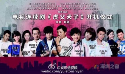 ​韩童生主演电视剧虎父犬子什么时候播出 剧情介绍