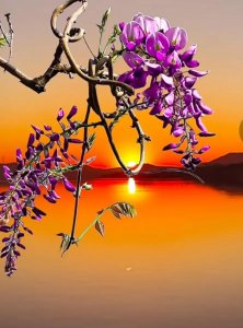 ​抢什么抢？争什么争？来看看去听听《争什么争》