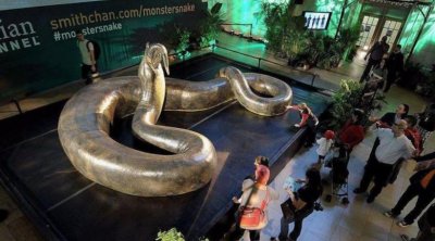 ​体长可达15米的史前巨兽——泰坦巨蟒