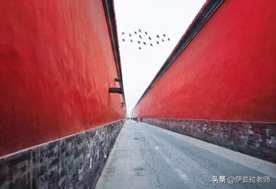 ​填报高考志愿其实很简单