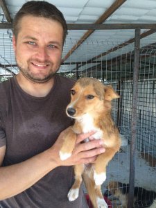 ​心碎！下一批安乐死名单上的哈士奇，对人类露出笑容