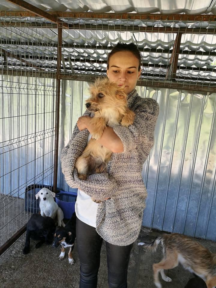 心碎！下一批安乐死名单上的哈士奇，对人类露出笑容