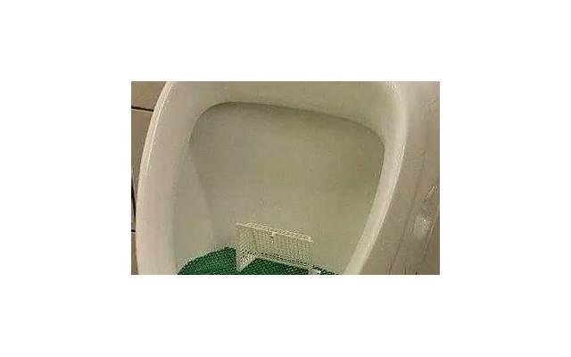 99分女朋友第几集带女朋友回家