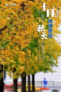 ​如果回天津吧？不如就来滨海，不如就来泰达吧？