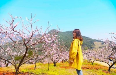 ​义乌桃花坞风景区在哪里几月开放时间？旅游全攻略