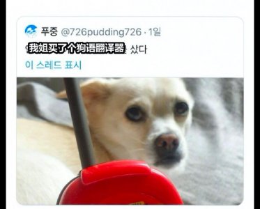 ​网友买了个狗语翻译机，没想到还真的挺有用的，翻译得太准确了吧