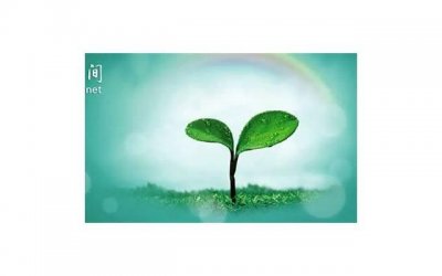 ​三款进口降压药排名，你知道哪一款最有效吗？