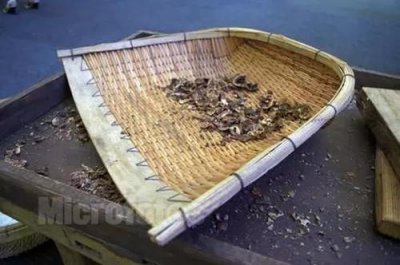 ​“狗揭门帘--嘴上的劲”天水方言歇后语看完我都笑抽了！