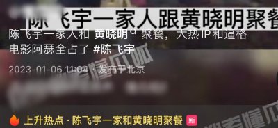 ​陈凯歌大儿子回国罕露面，54岁陈红与幼子街头拥抱，黄晓明显绅士