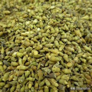 ​高鹏说药材：市场关注品种槐米后市行情走势简析