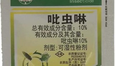 ​吡虫啉这样用，能治蓟马蚜虫，还能防地下虫，用对时间，一季无虫