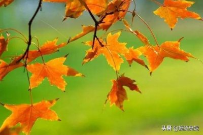 ​人活着健康就好