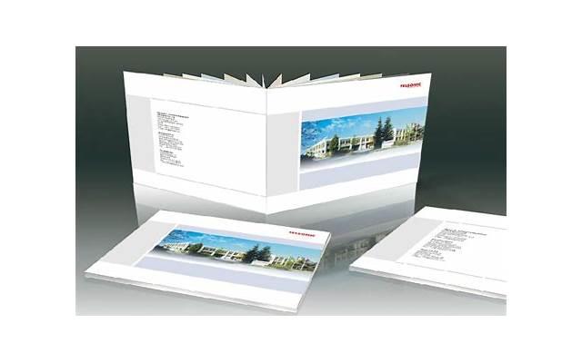 嫂子，你那么有钱，帮俺们一下怎么了