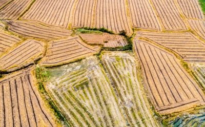 ​坐牢对三代人的影响有哪些？