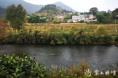 ​永乐桥：曾经的风雨桥——《今日牛栏江》之六