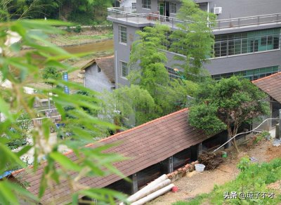 ​农村养羊的圈舍类型很多，各不相同