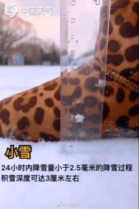 ​科普帖：特大暴雪到底是什么概念