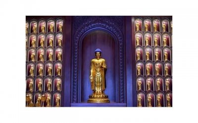 ​十二生肖配对姻缘：了解一下你和TA的情感匹配度