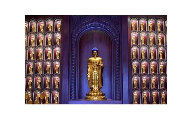 十二生肖配对姻缘：了解一下你和TA的情感匹配度