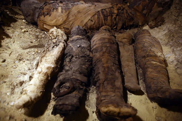 埃及考古发现夏朝 古埃及就是骗局？