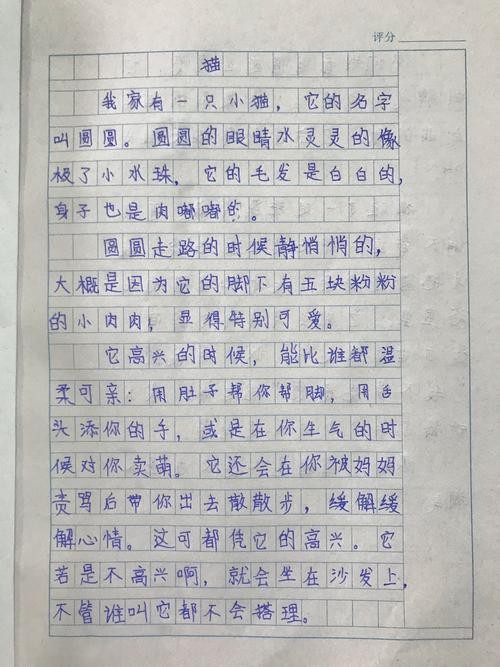 我的动物朋友作文200字（我的动物朋友范文）